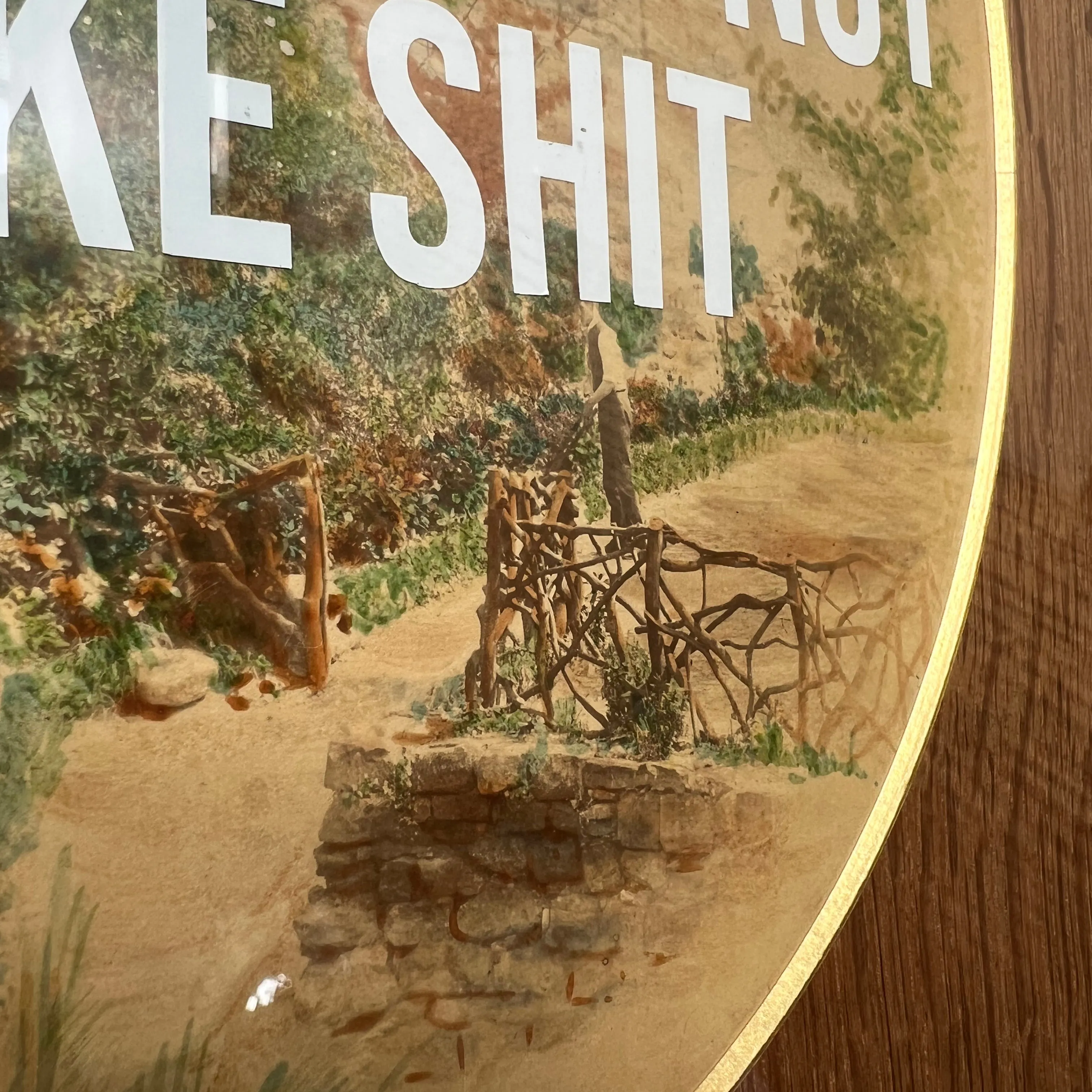 'THO SHALT NOT TAKE SHIT' Framed Print