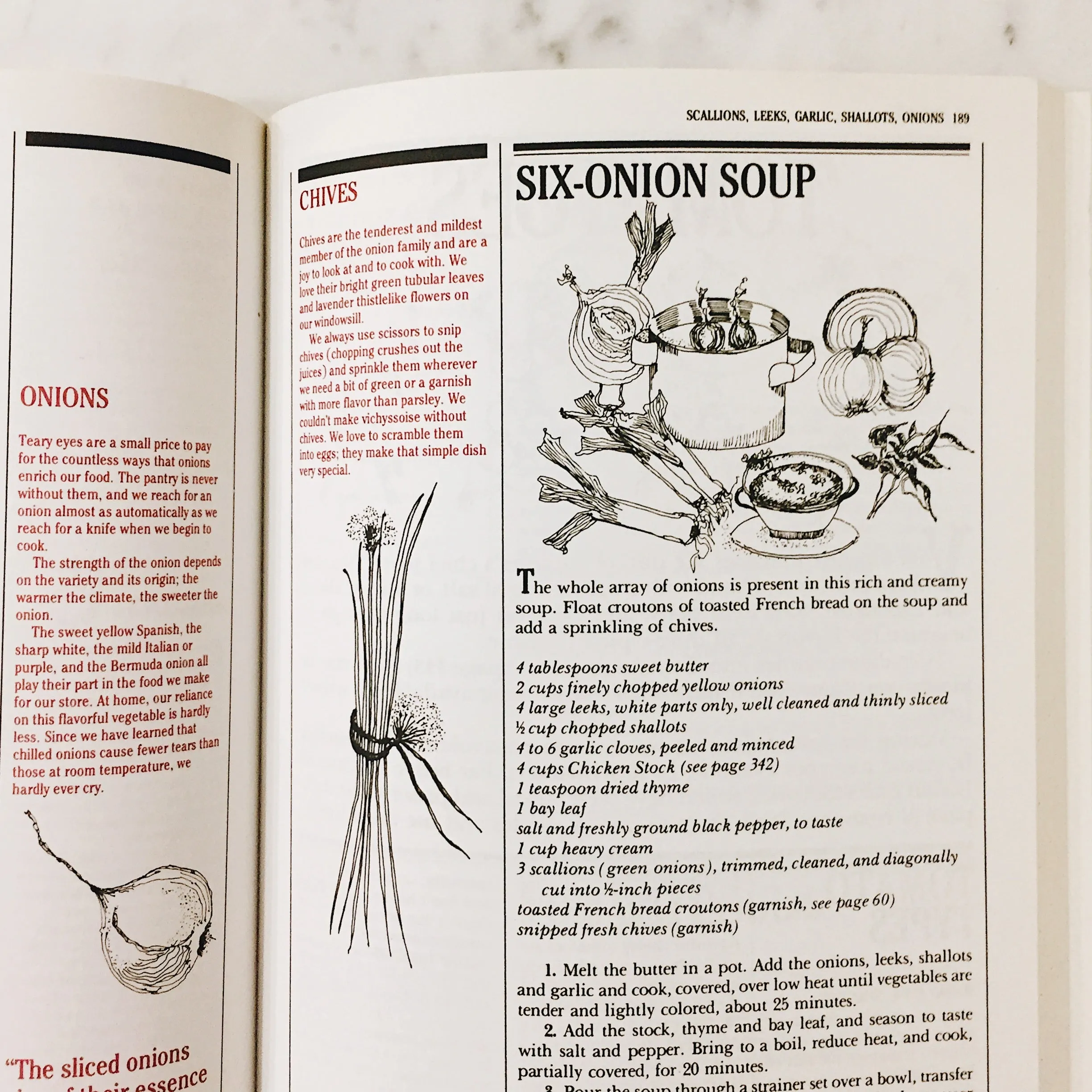Vintage Cookbook: The Silver Palate Cookbook
