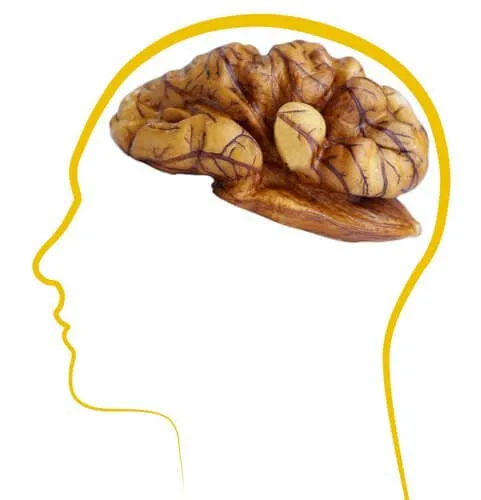 Walnuts in Shell - Anna and Sarah